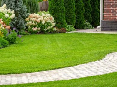 gazon-de-curte